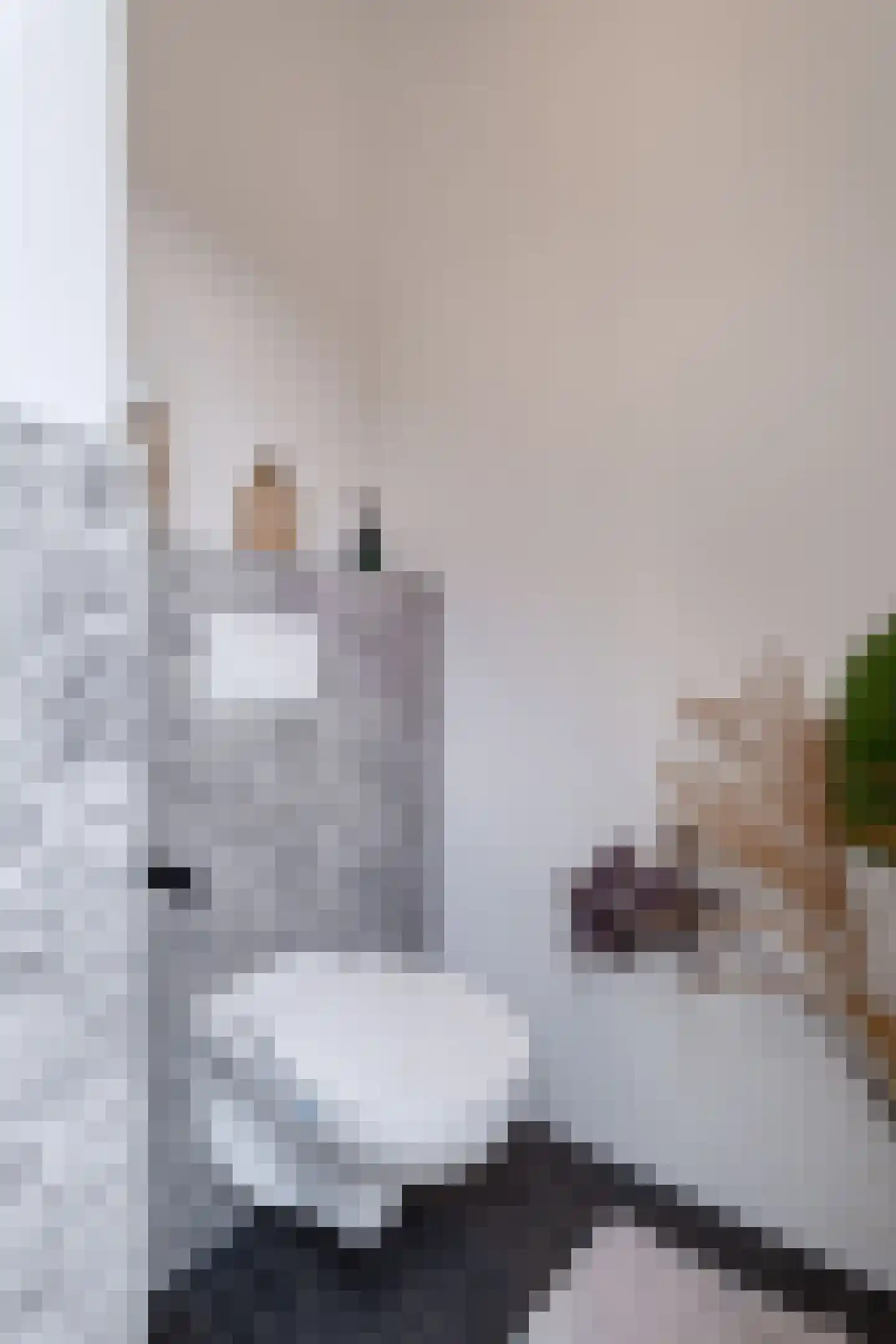 Kaatsplein 7 Witmarsum thumbnail 32