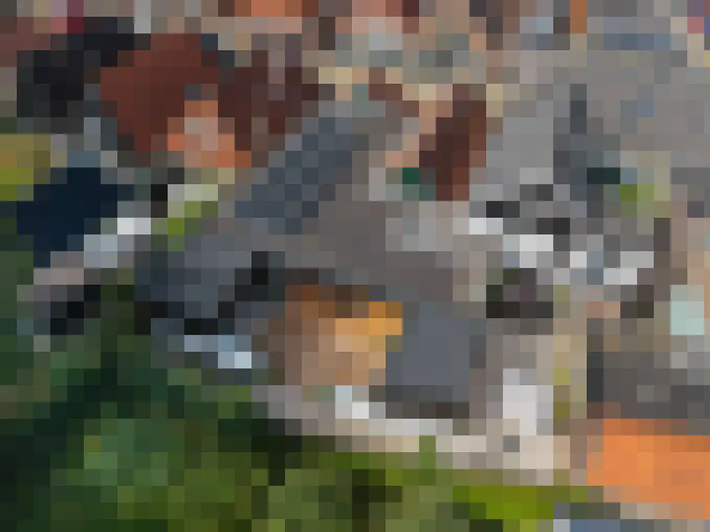 Kaatsplein 7 Witmarsum thumbnail 44