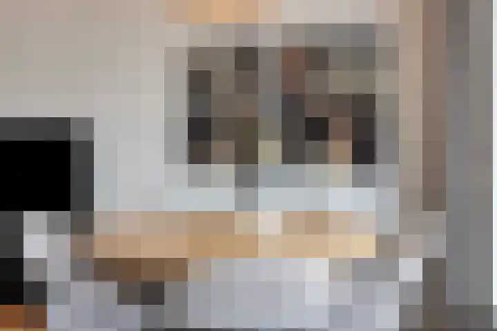 Kaatsruwe 5 Maastricht thumbnail 10