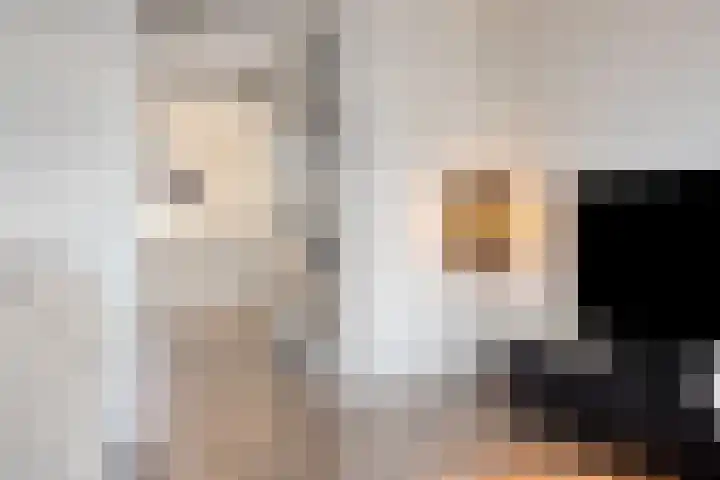 Kaatsruwe 5 Maastricht thumbnail 11