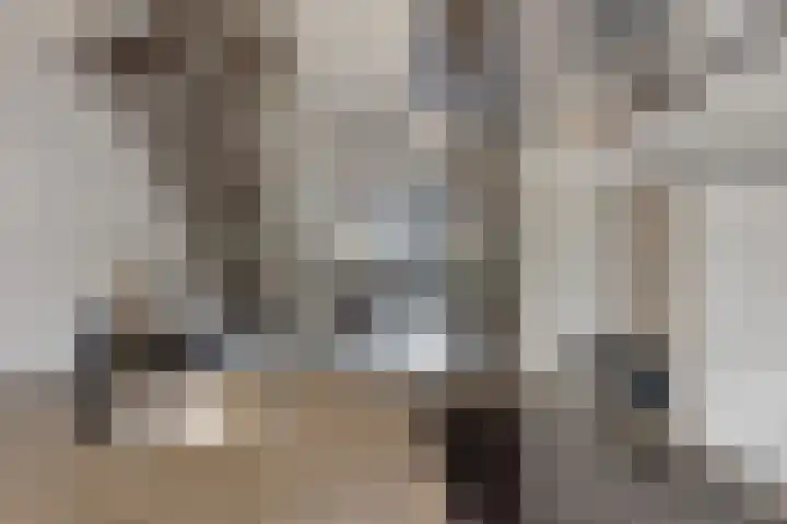 Kaatsruwe 5 Maastricht thumbnail 17