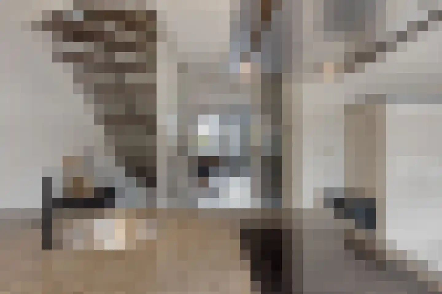 Kaatsruwe 5 Maastricht thumbnail 17