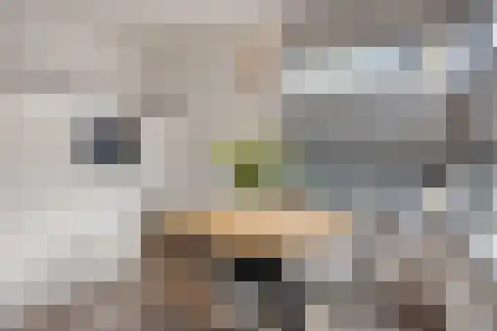 Kaatsruwe 5 Maastricht thumbnail 18