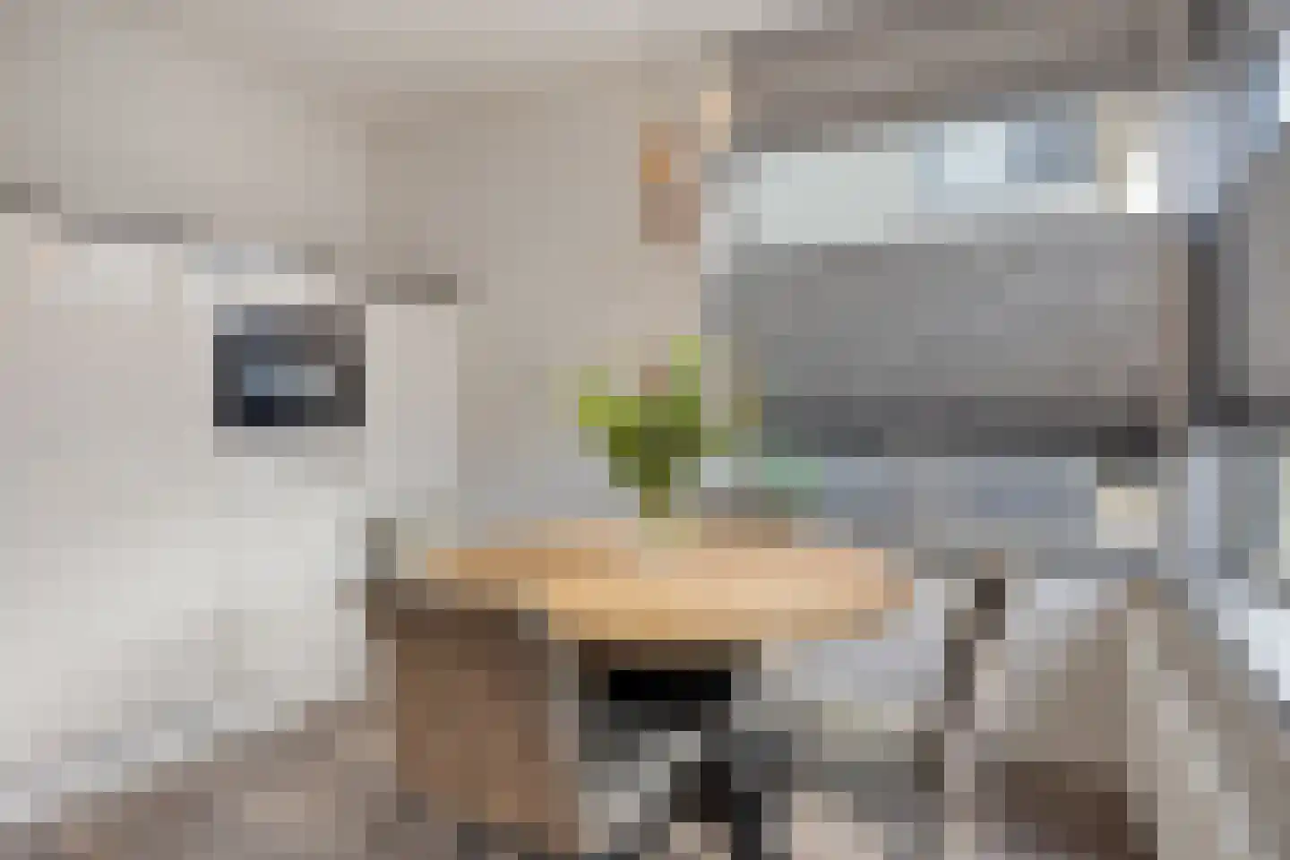 Kaatsruwe 5 Maastricht thumbnail 18