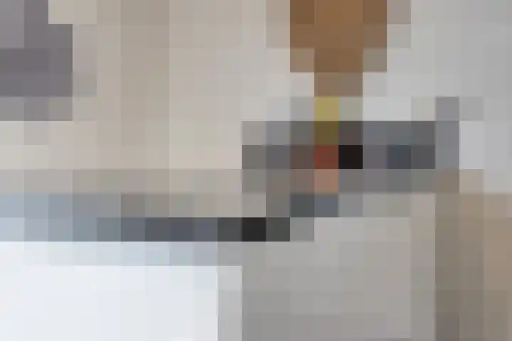 Kaatsruwe 5 Maastricht thumbnail 20