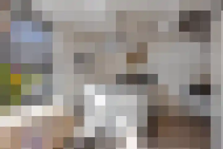 Kaatsruwe 5 Maastricht thumbnail 21