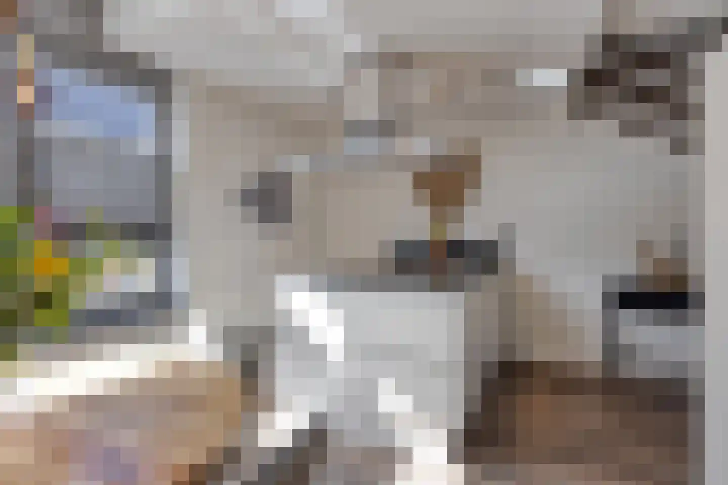 Kaatsruwe 5 Maastricht thumbnail 21