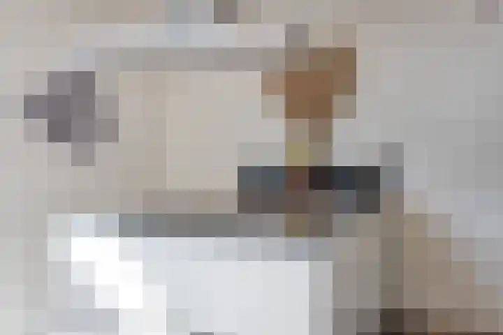Kaatsruwe 5 Maastricht thumbnail 22
