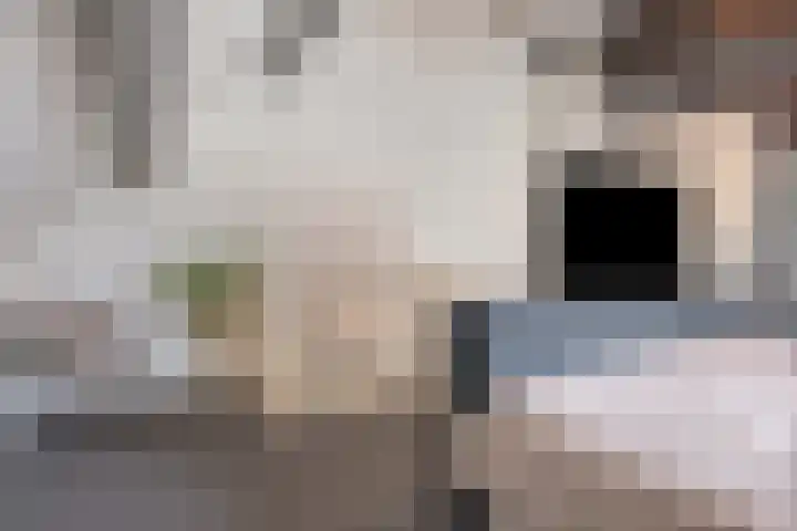 Kaatsruwe 5 Maastricht thumbnail 32