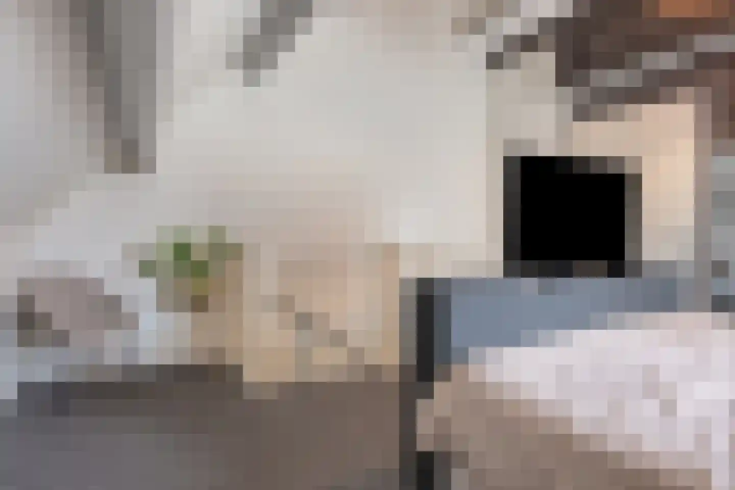 Kaatsruwe 5 Maastricht thumbnail 32