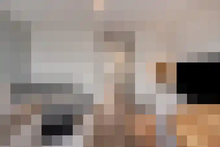 Kaatsruwe 5 Maastricht thumbnail 8