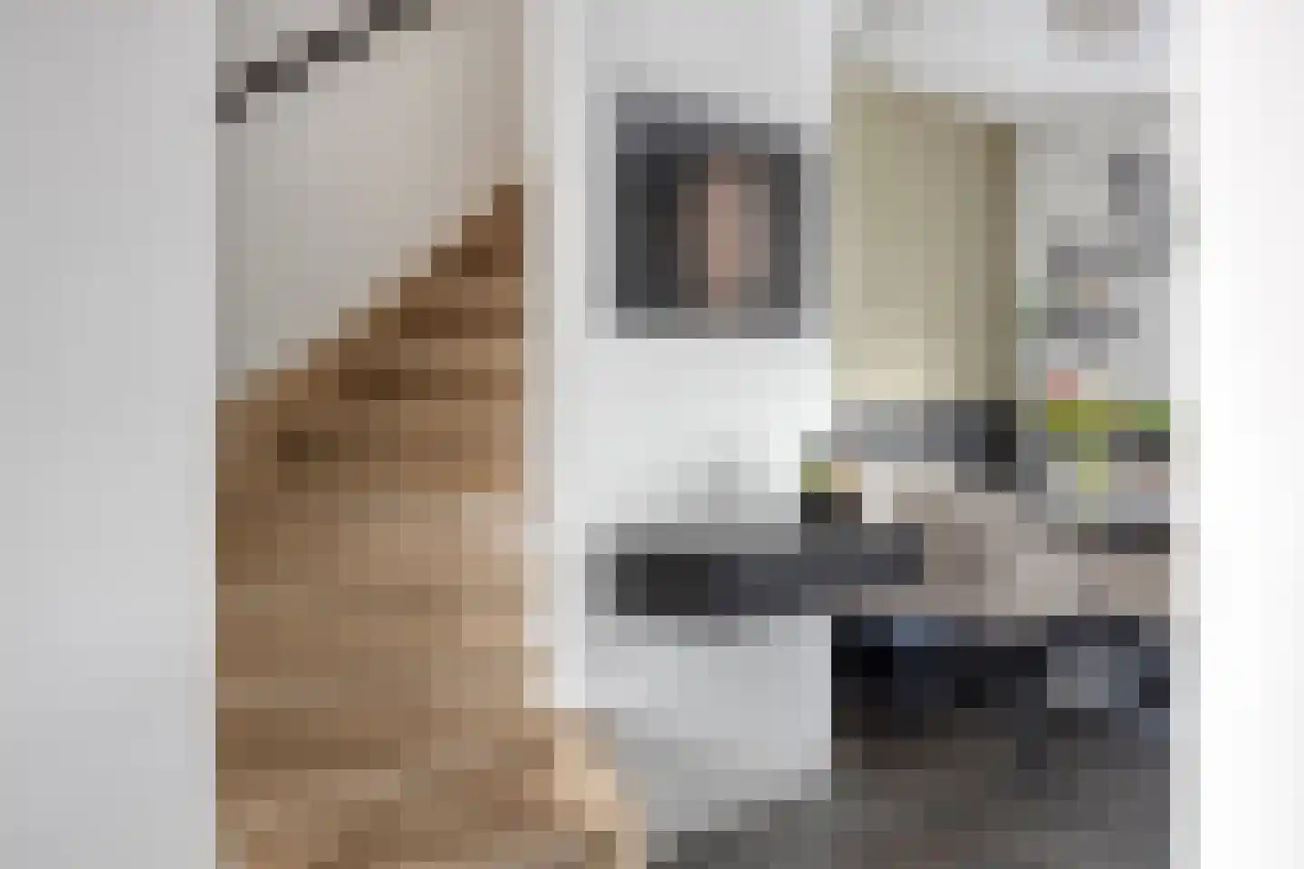 Kaatsruwe 6 Maastricht thumbnail 8