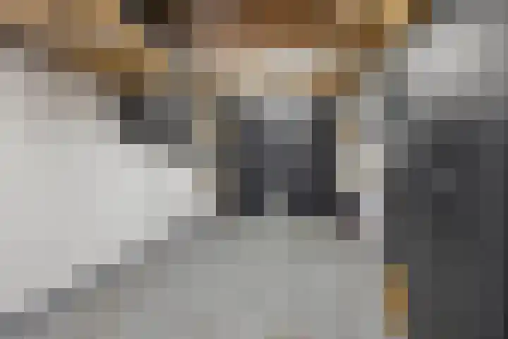 Kaatsruwe 8 Maastricht thumbnail 30