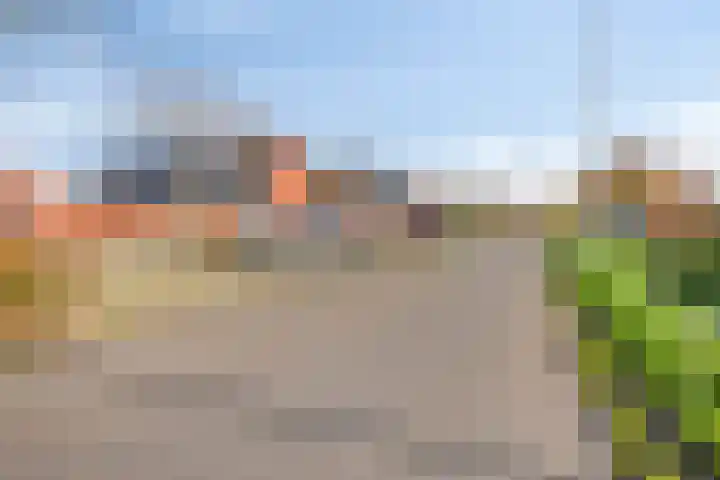 Kaatsruwe 8 Maastricht thumbnail 34