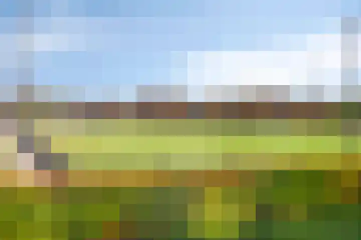 Kaatsruwe 8 Maastricht thumbnail 35