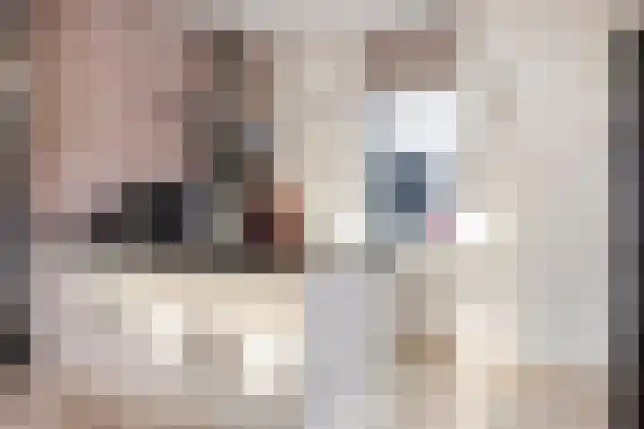 Kaatsruwe 8 Maastricht thumbnail 4
