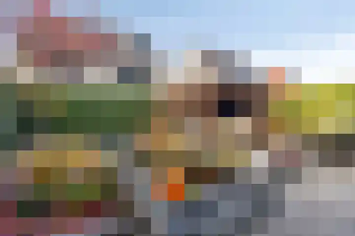 Kaatsruwe 8 Maastricht thumbnail 5