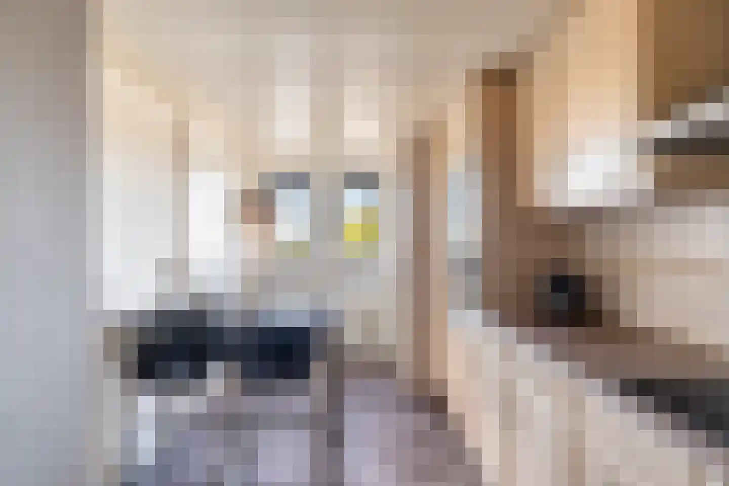 Kabbelaarsbank 3 13 Ouddorp thumbnail 13