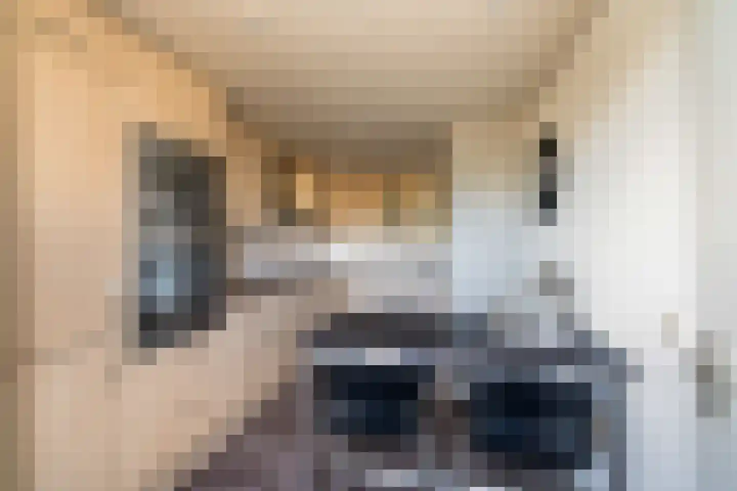 Kabbelaarsbank 3 13 Ouddorp thumbnail 14