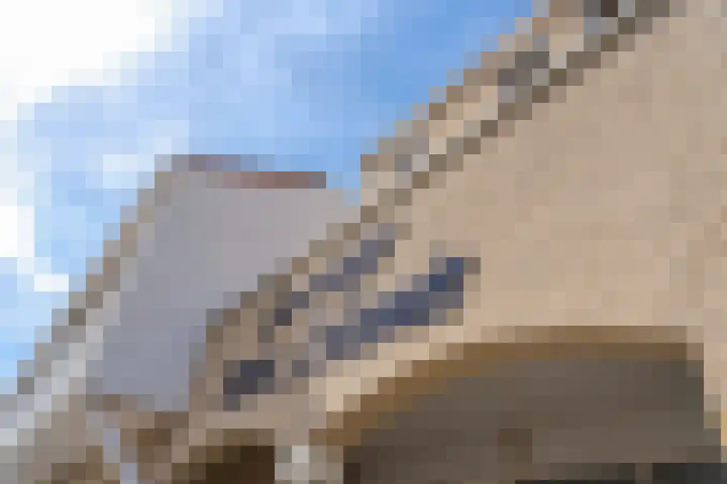 Kabbelaarsbank 3 13 Ouddorp thumbnail 23