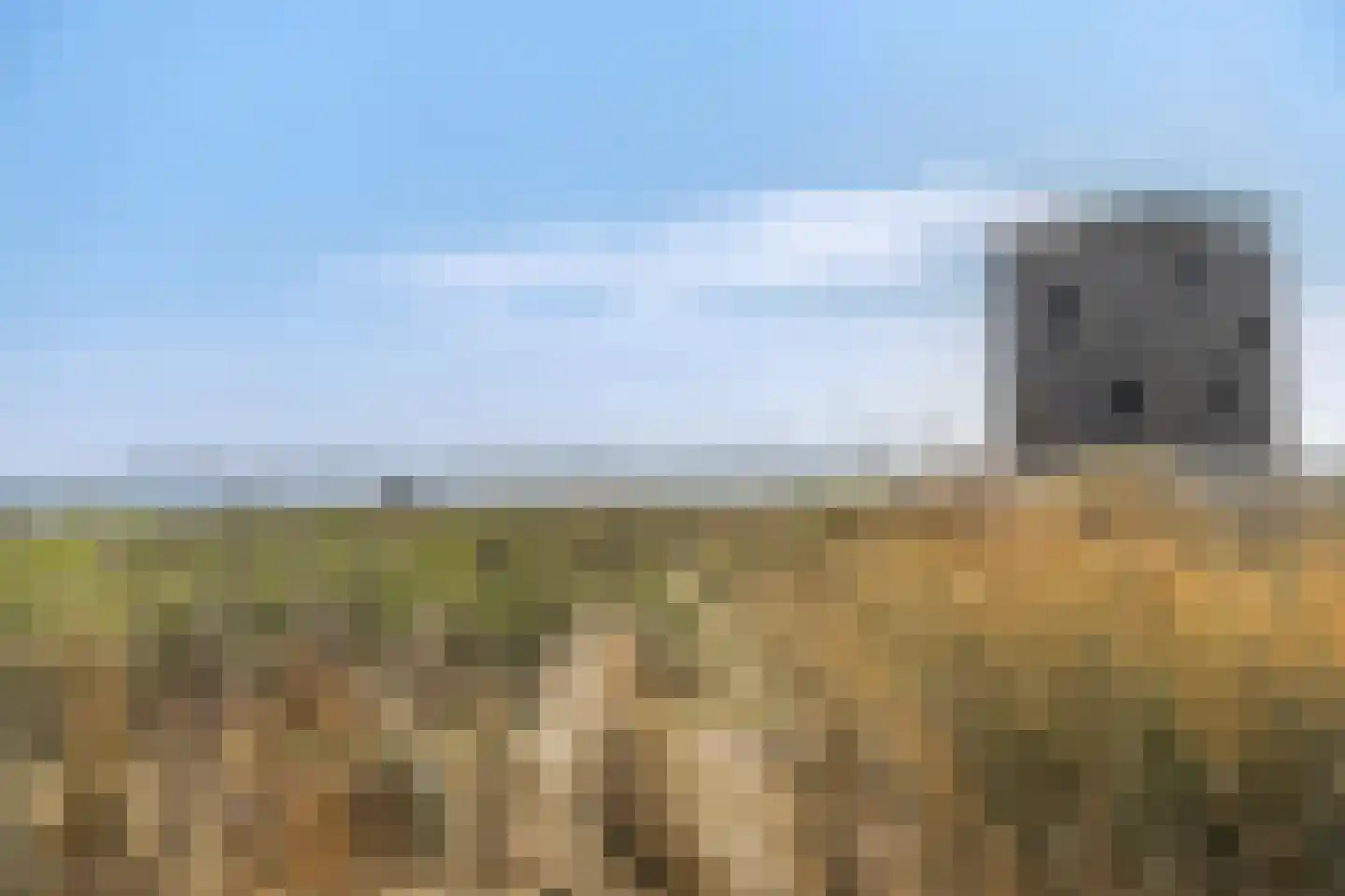 Kabbelaarsbank 3 13 Ouddorp thumbnail 29