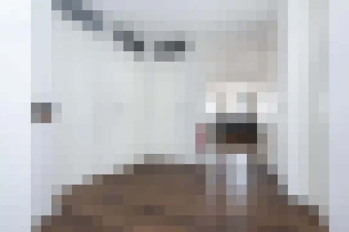 Kabbelaarsbank 4 11 Ouddorp thumbnail 8