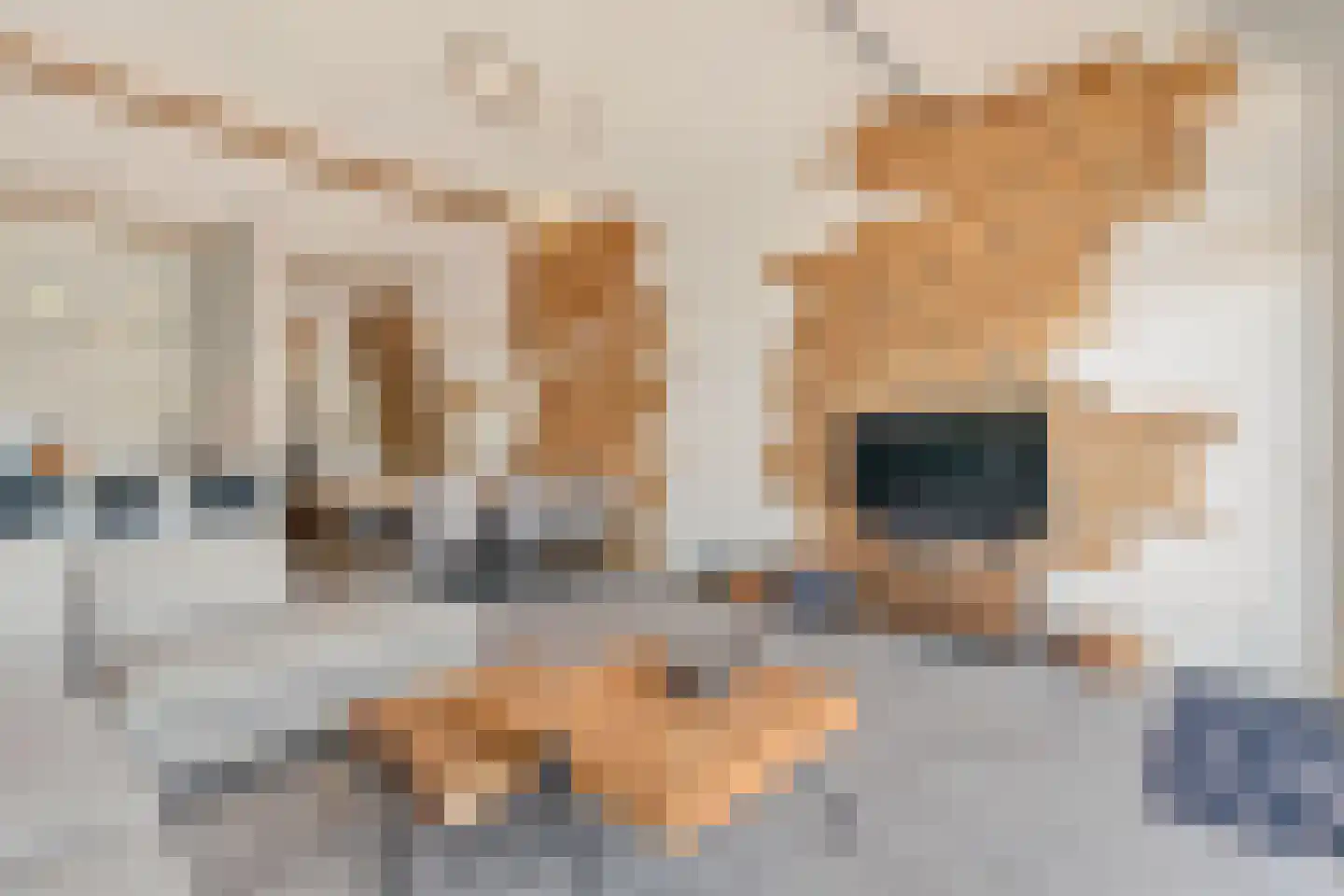 Kabbelaarsbank 5 07 Ouddorp thumbnail 11