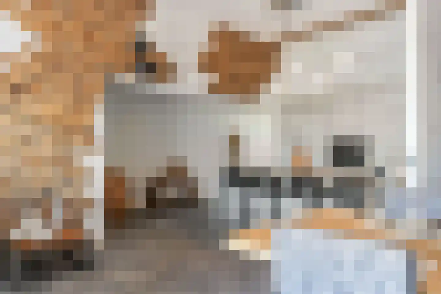 Kabbelaarsbank 5 07 Ouddorp thumbnail 14