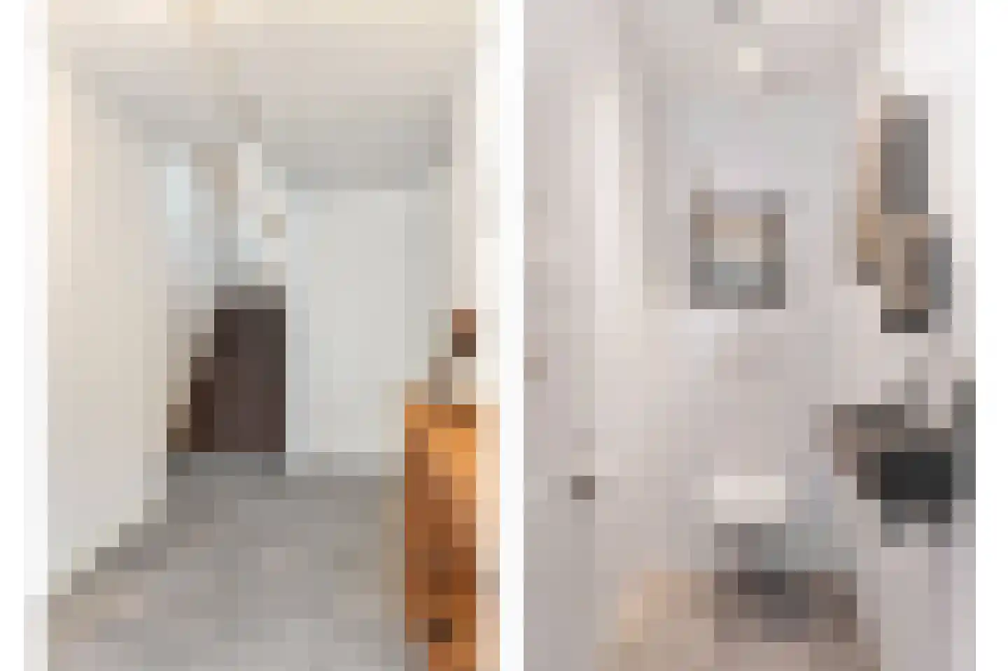 Kabbelaarsbank 5 07 Ouddorp thumbnail 34