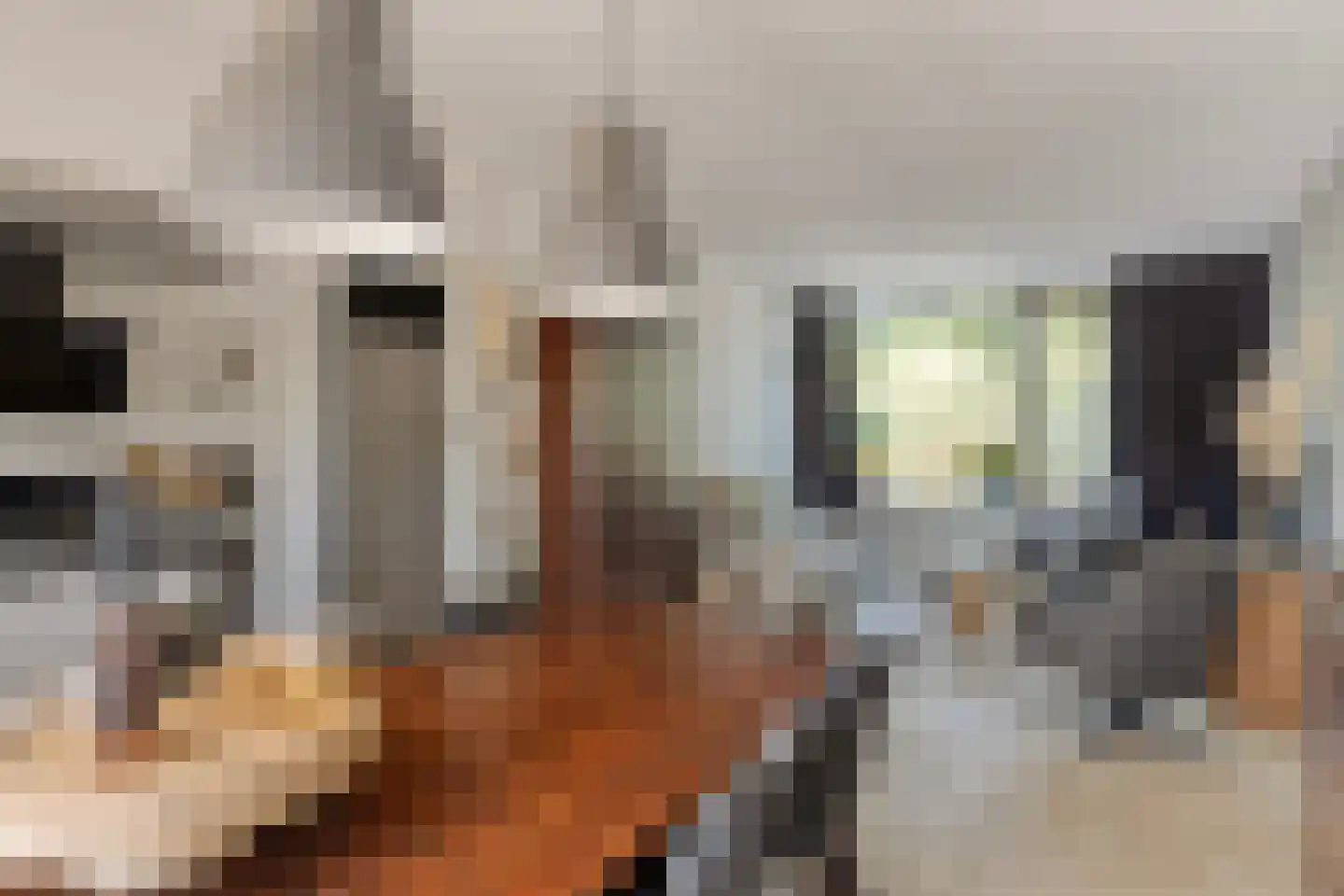 Kabbelaarsbank 53 Zierikzee thumbnail 12