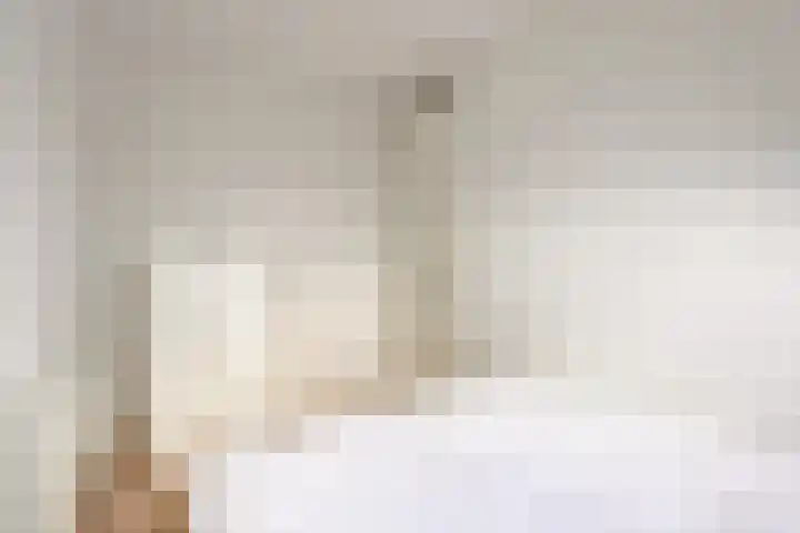 Kabbelaarsweg 4 Renesse thumbnail 22