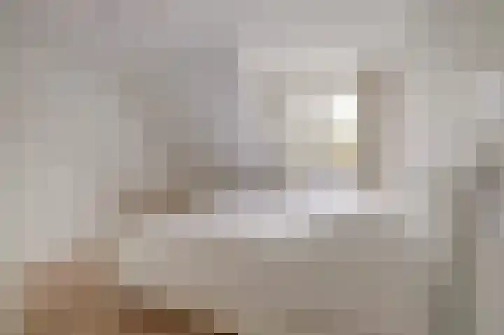 Kabbelaarsweg 4 Renesse thumbnail 23