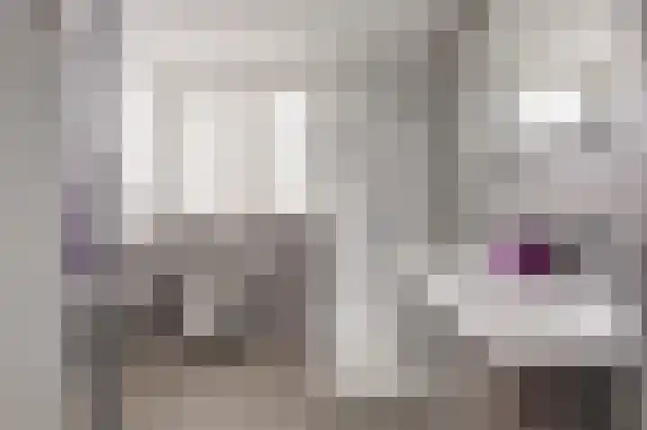 Kabbelaarsweg 4 Renesse thumbnail 28
