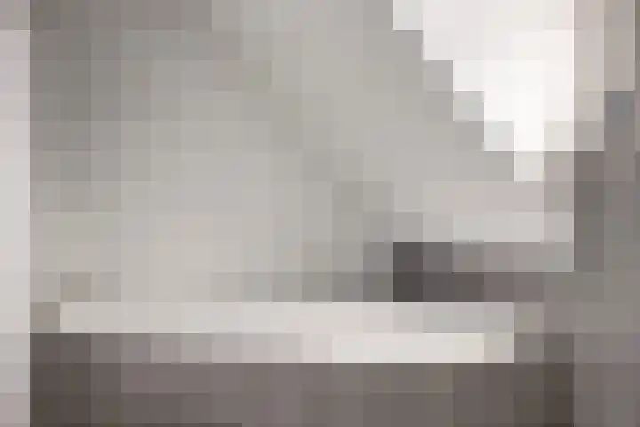 Kabbelaarsweg 4 Renesse thumbnail 30