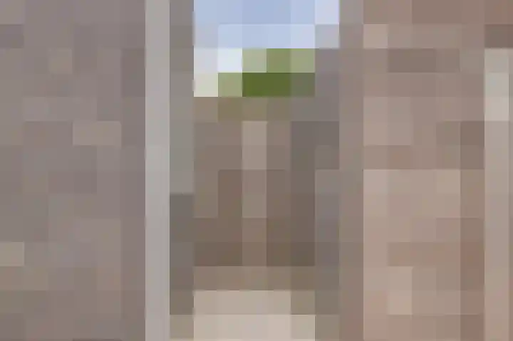 Kabbelaarsweg 4 Renesse thumbnail 33