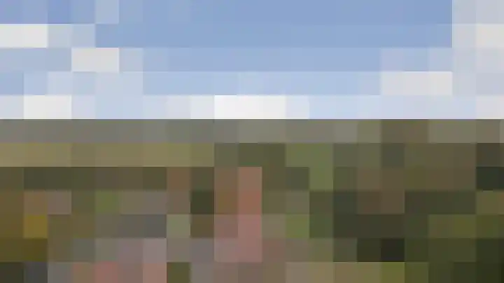 Kabbelaarsweg 4 Renesse thumbnail 34
