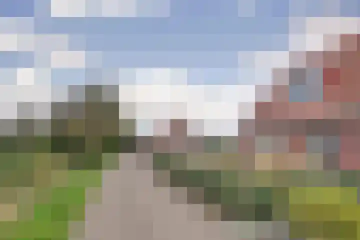 Kabbelaarsweg 4 Renesse thumbnail 4