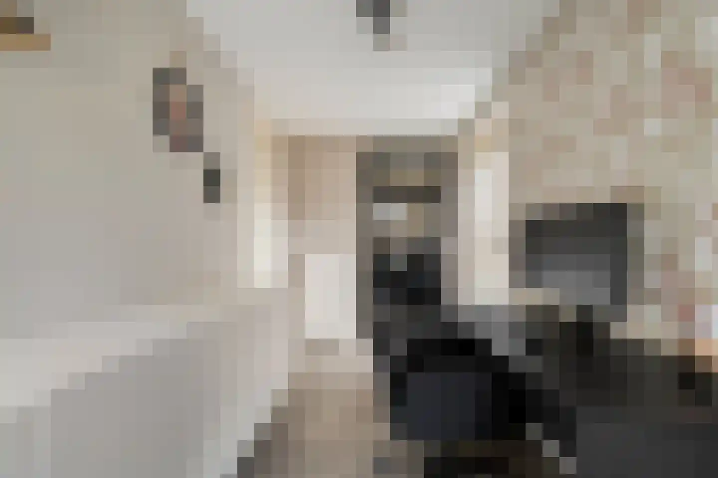 Kabel 7 Coevorden thumbnail 21