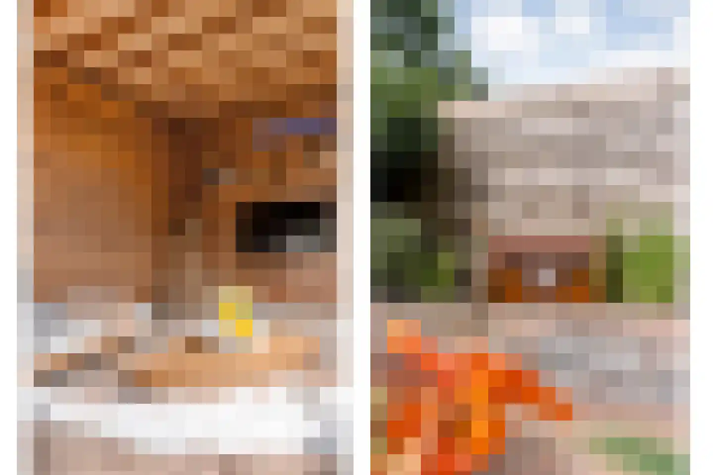 Kabel 7 Coevorden thumbnail 43