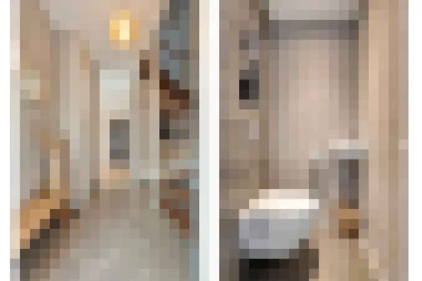 Kabel 7 Coevorden thumbnail 8