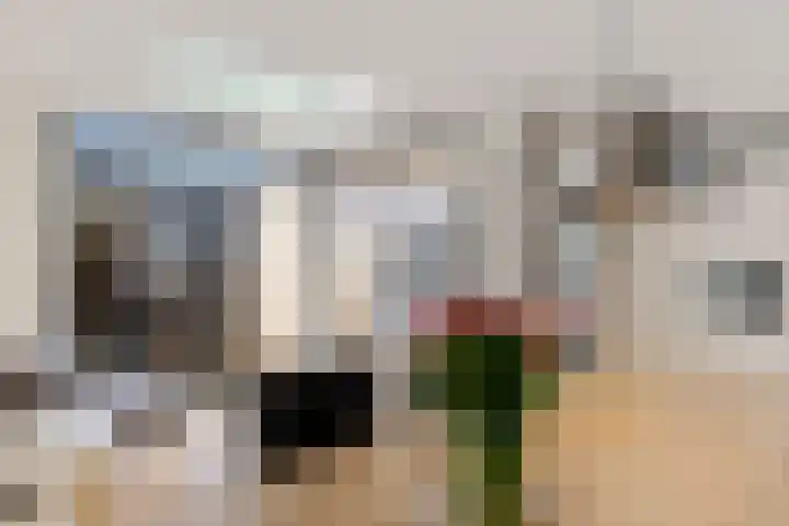 Kabel 73 Genemuiden thumbnail 18