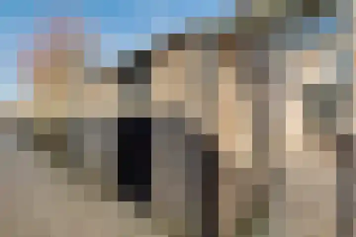 Kabel 73 Genemuiden thumbnail 28