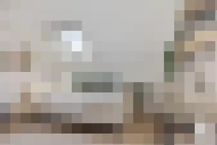 Kabel 73 Genemuiden thumbnail 39