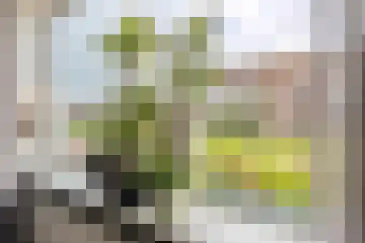 Kabel 96 Genemuiden thumbnail 16