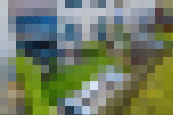 Kabel 96 Genemuiden thumbnail 27