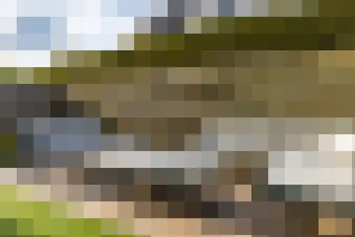 Kabel 96 Genemuiden thumbnail 29