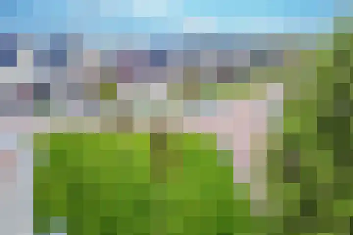 Kabel 96 Genemuiden thumbnail 8