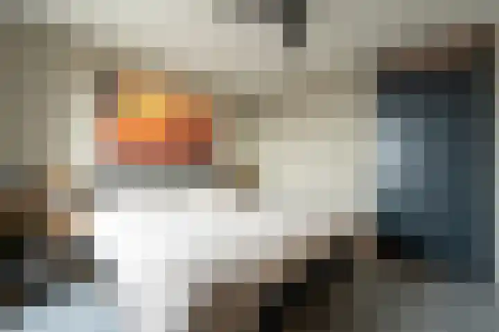 Kabelhof 43 Rotterdam thumbnail 21
