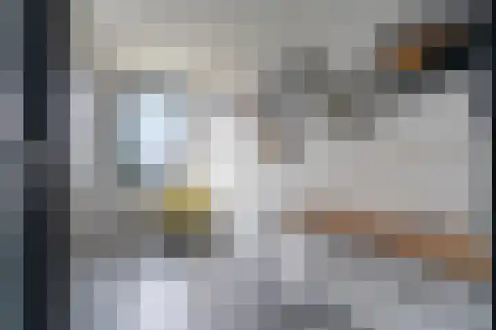 Kabelhof 43 Rotterdam thumbnail 25