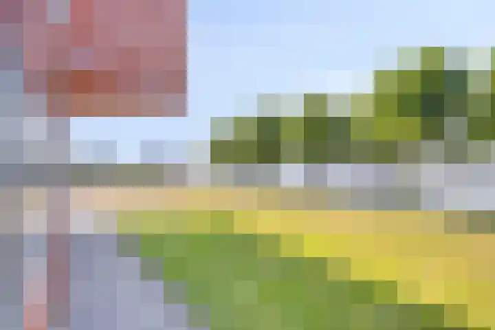 Kabelhof 66 Rotterdam thumbnail 15